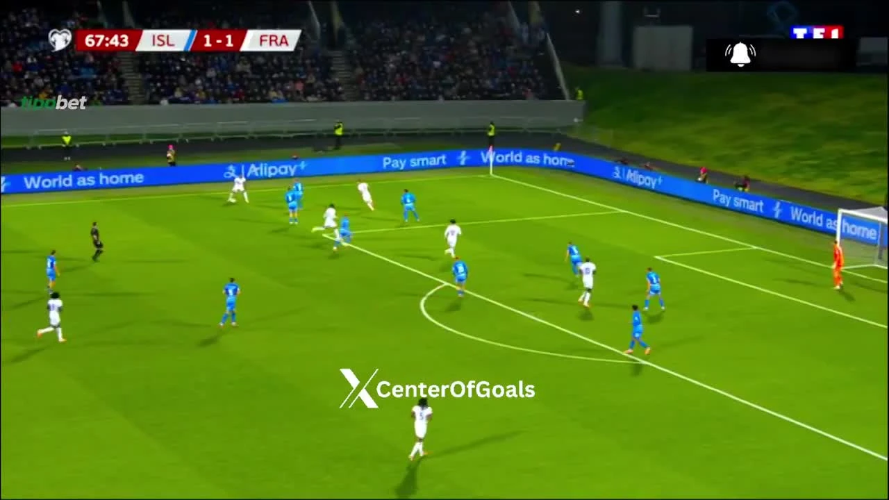 zaslepka skrotu video