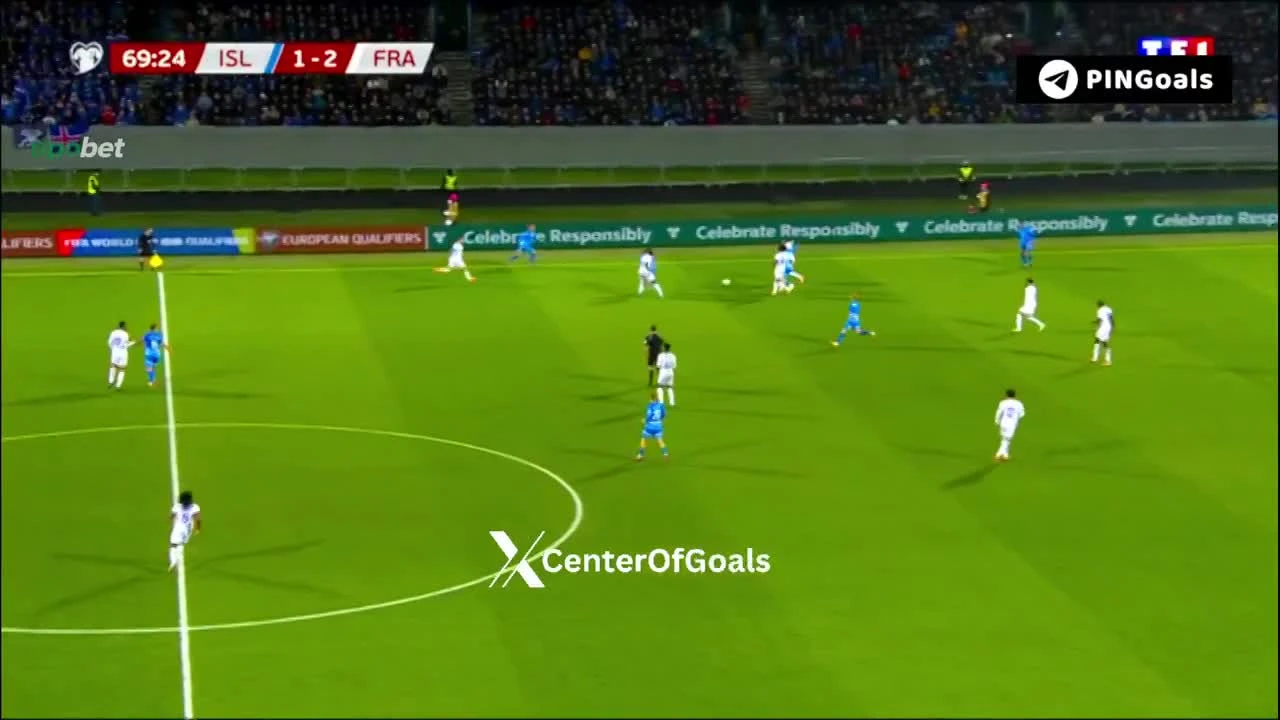 zaslepka skrotu video