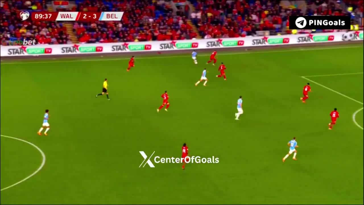 zaslepka skrotu video