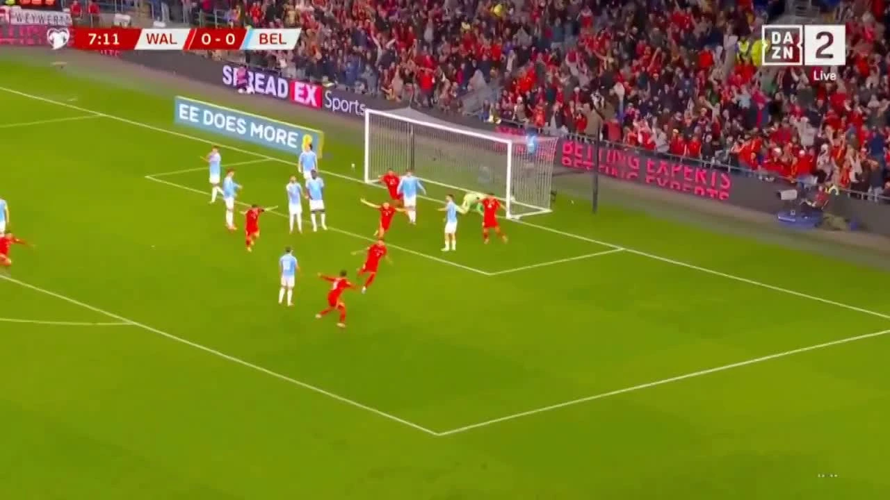 zaslepka skrotu video