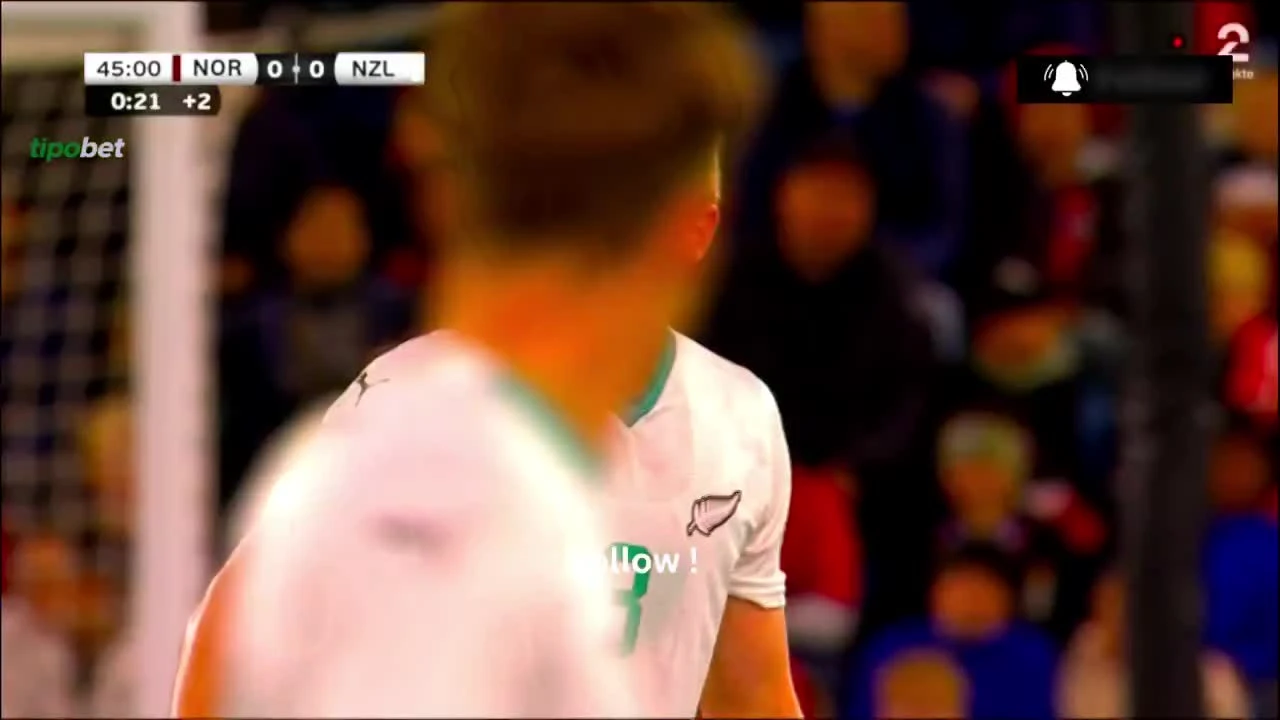 zaslepka skrotu video