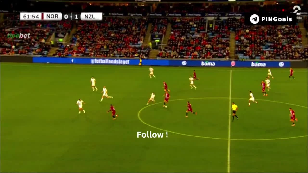 zaslepka skrotu video