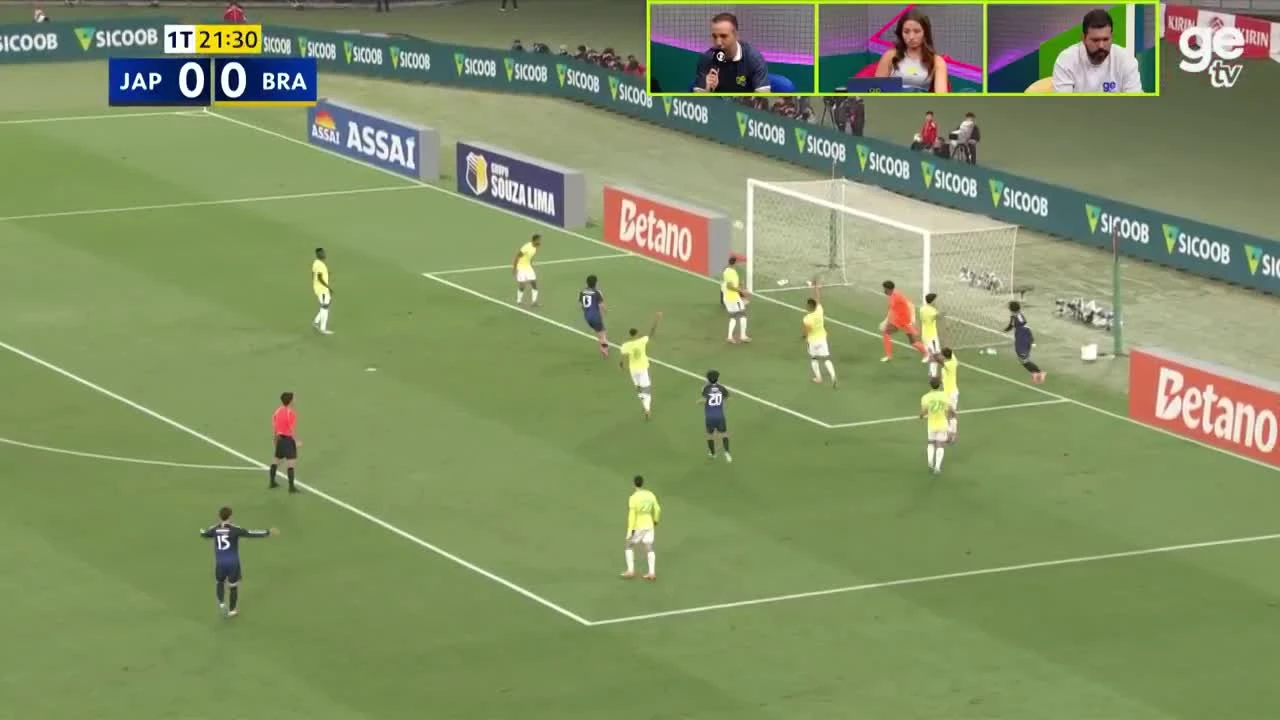 zaslepka skrotu video