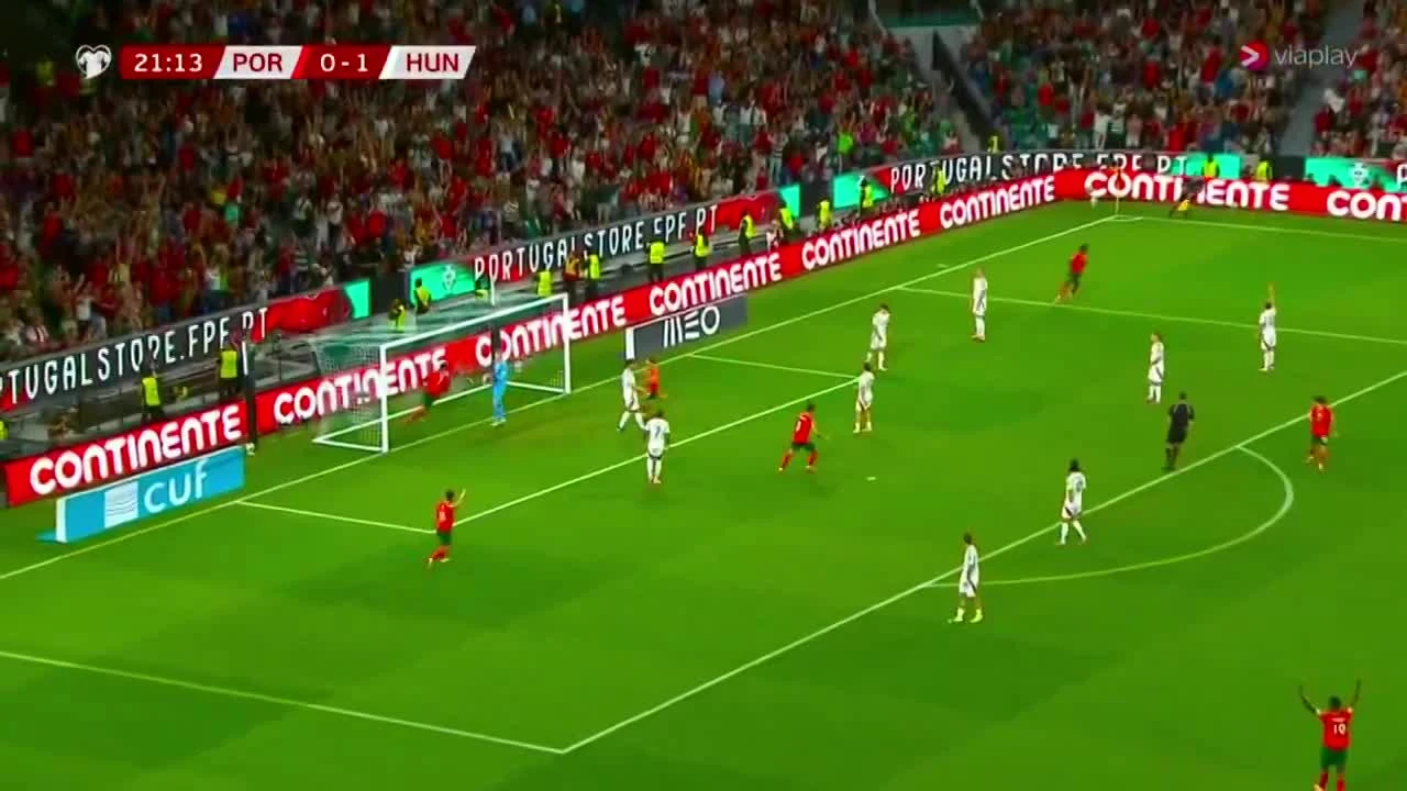 zaslepka skrotu video