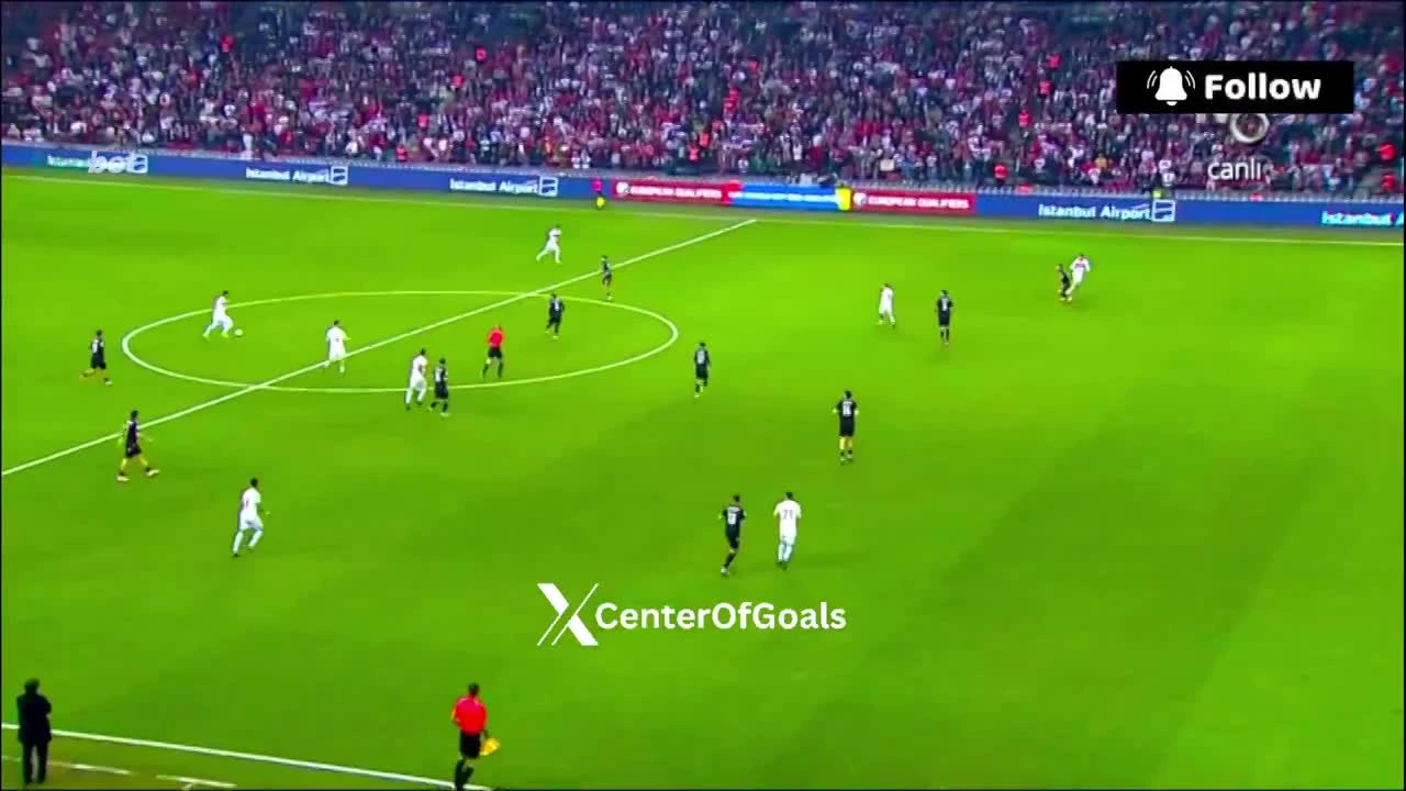 zaslepka skrotu video