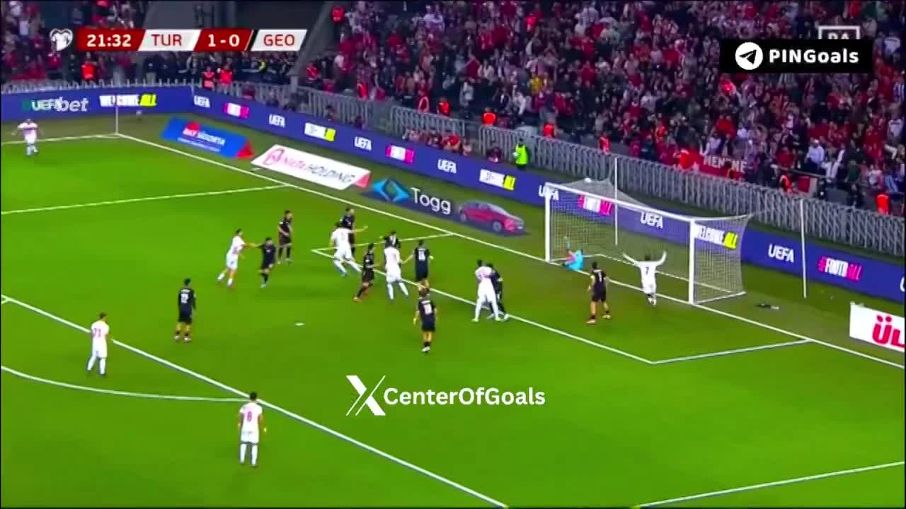 zaslepka skrotu video