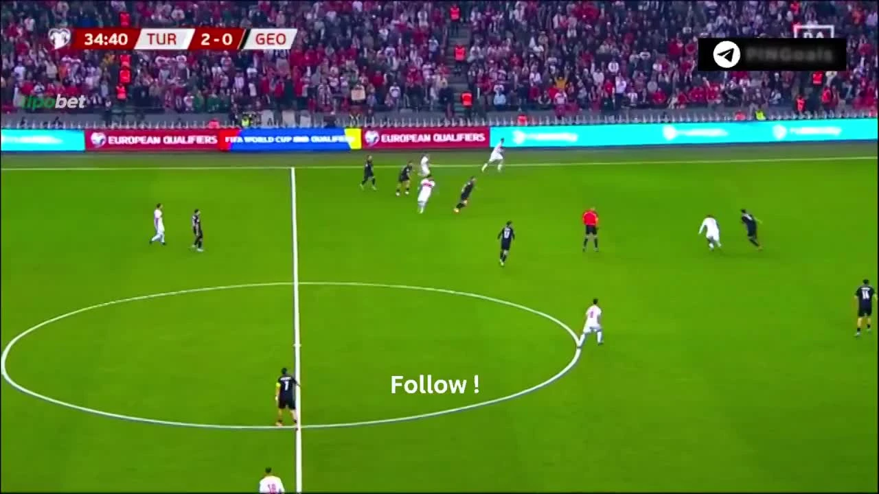 zaslepka skrotu video