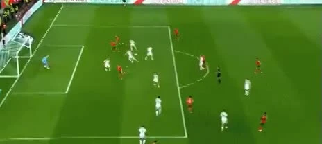 zaslepka skrotu video