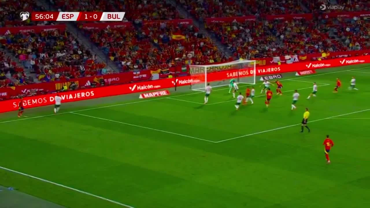 zaslepka skrotu video