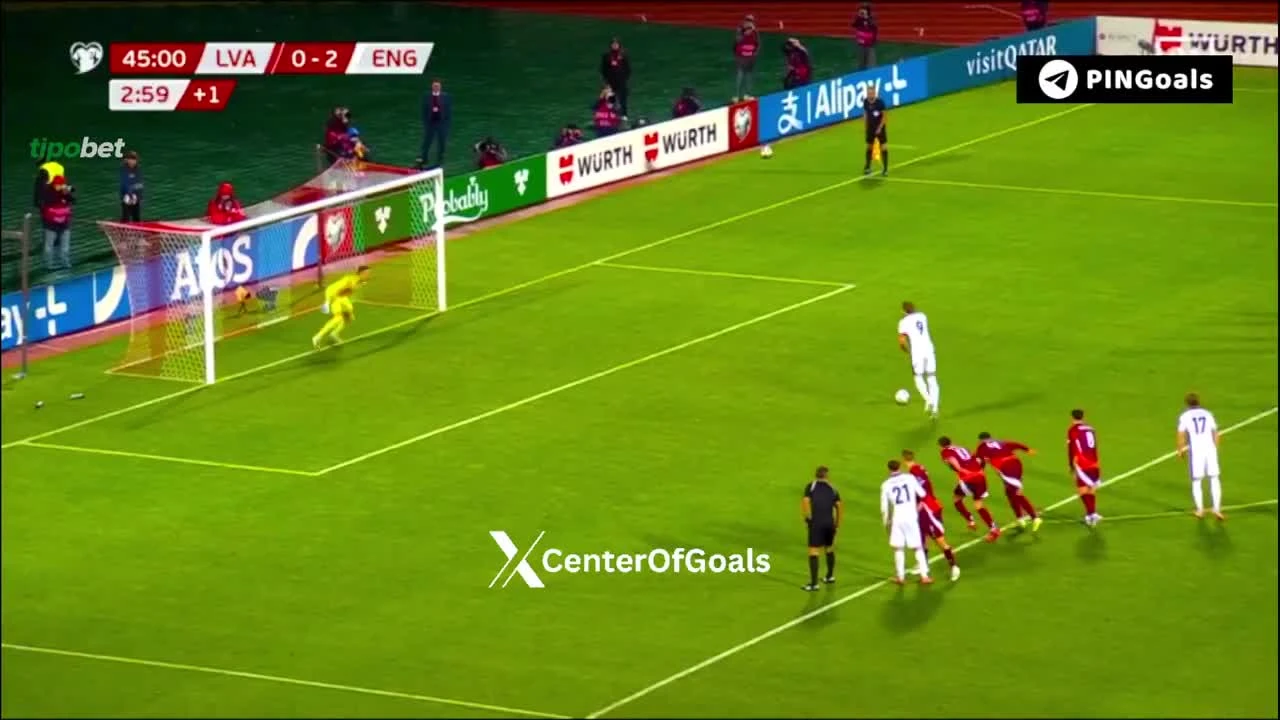 zaslepka skrotu video