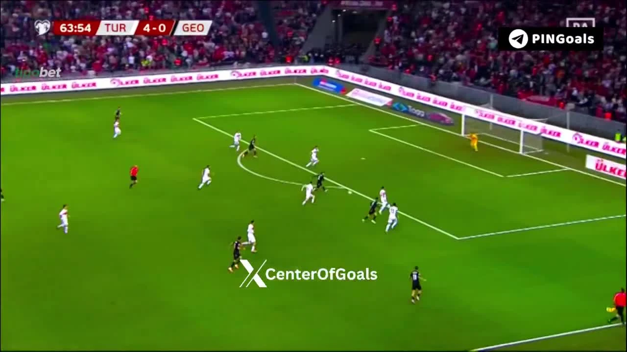 zaslepka skrotu video