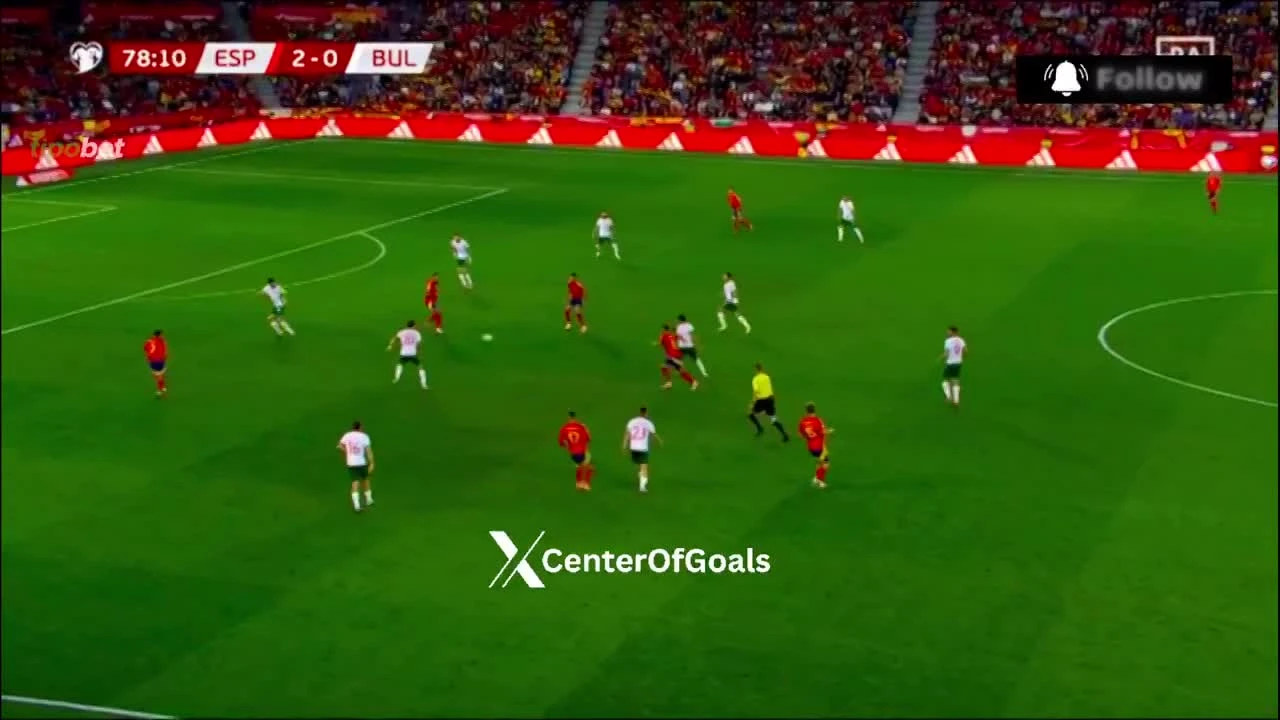 zaslepka skrotu video
