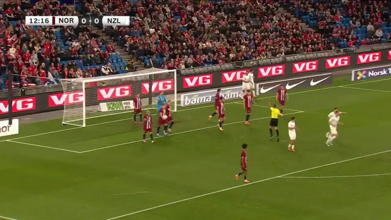 zaslepka skrotu video