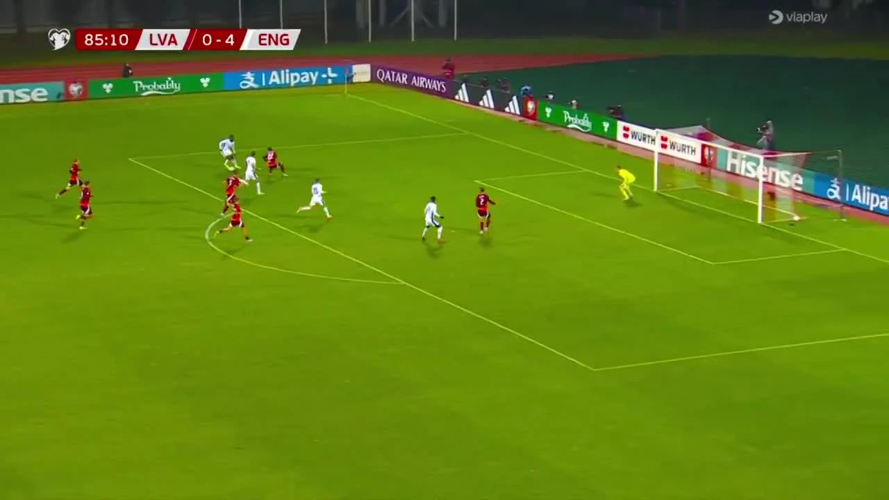 zaslepka skrotu video