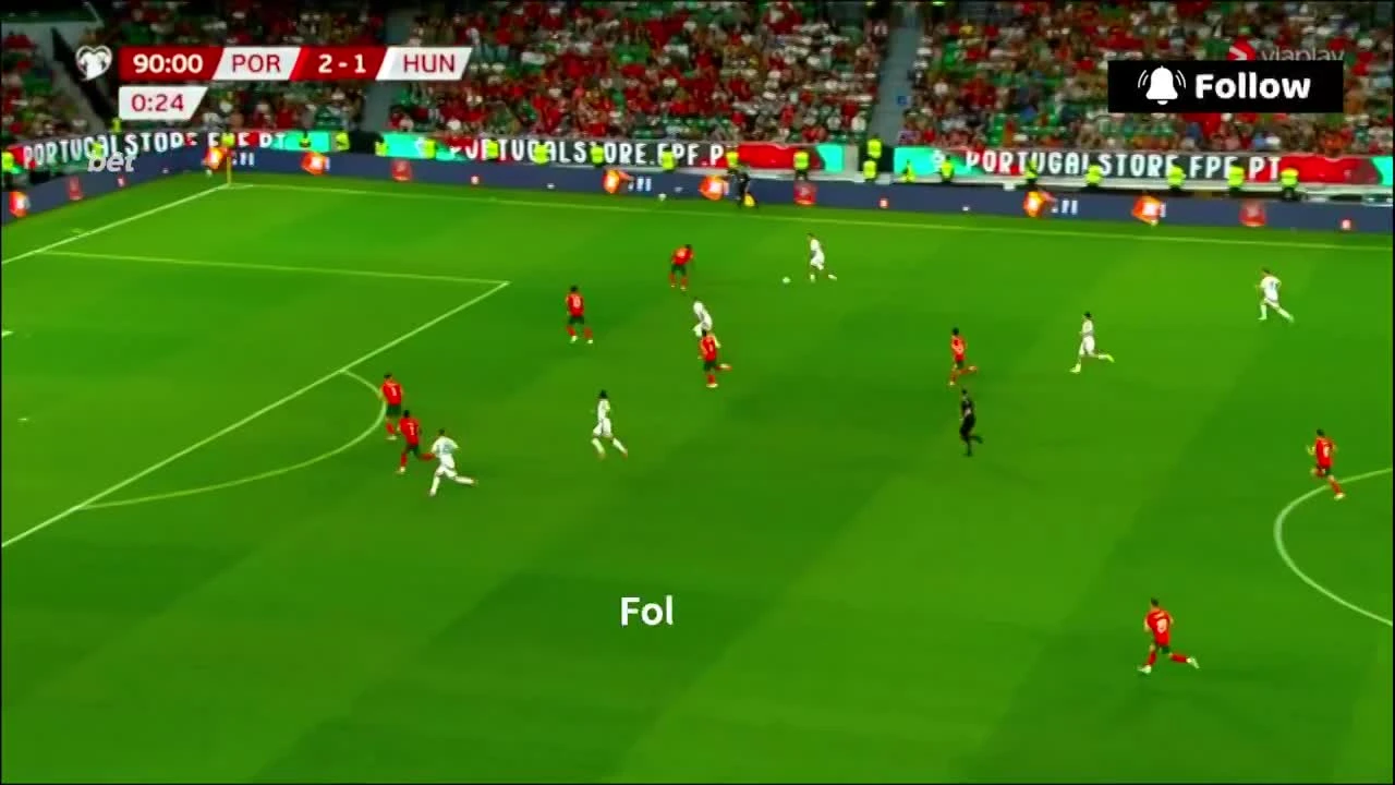 zaslepka skrotu video