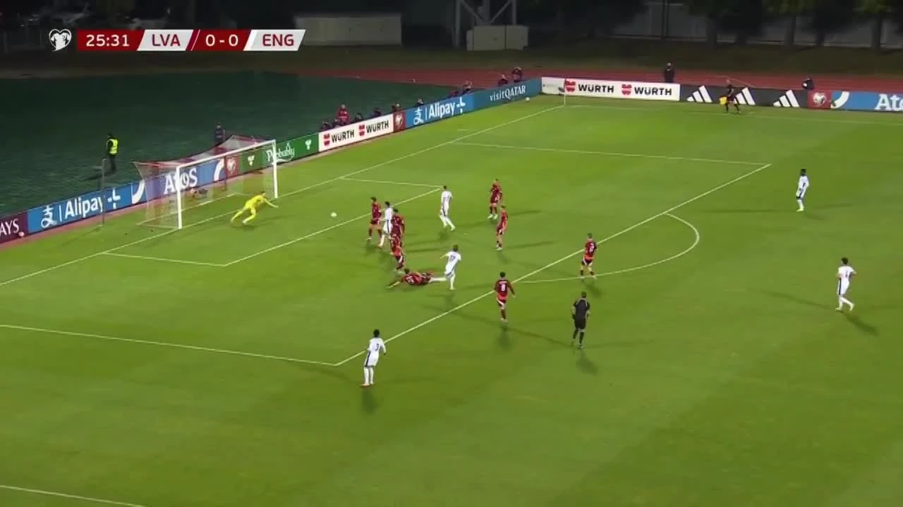 zaslepka skrotu video