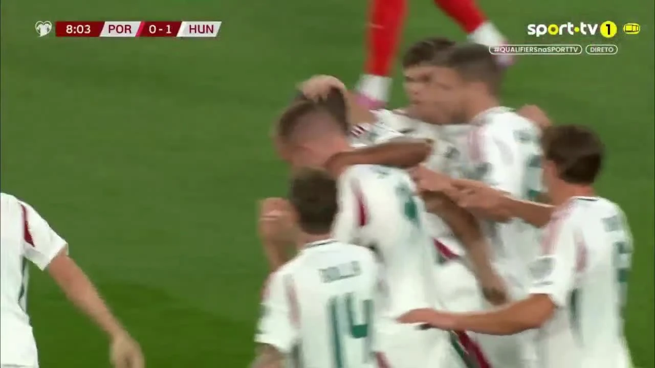 zaslepka skrotu video