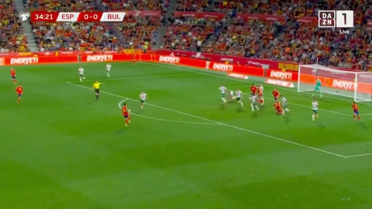 zaslepka skrotu video