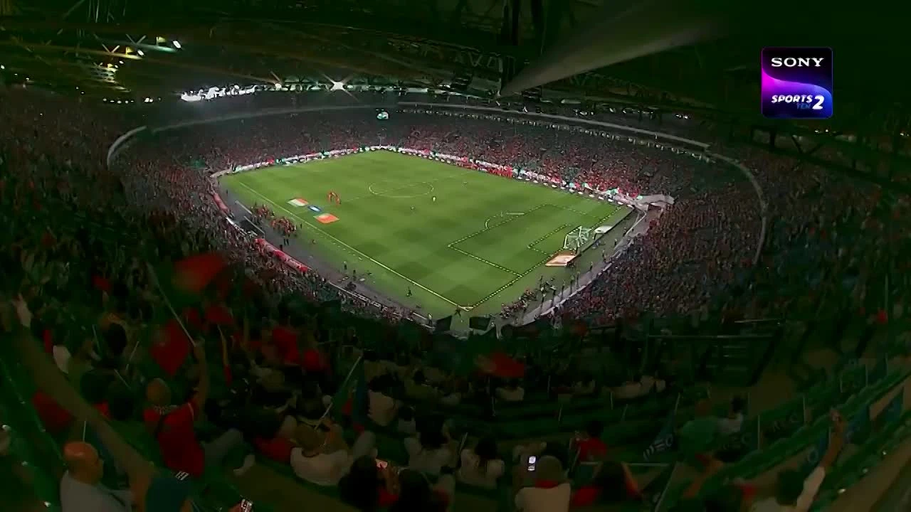 zaslepka skrotu video