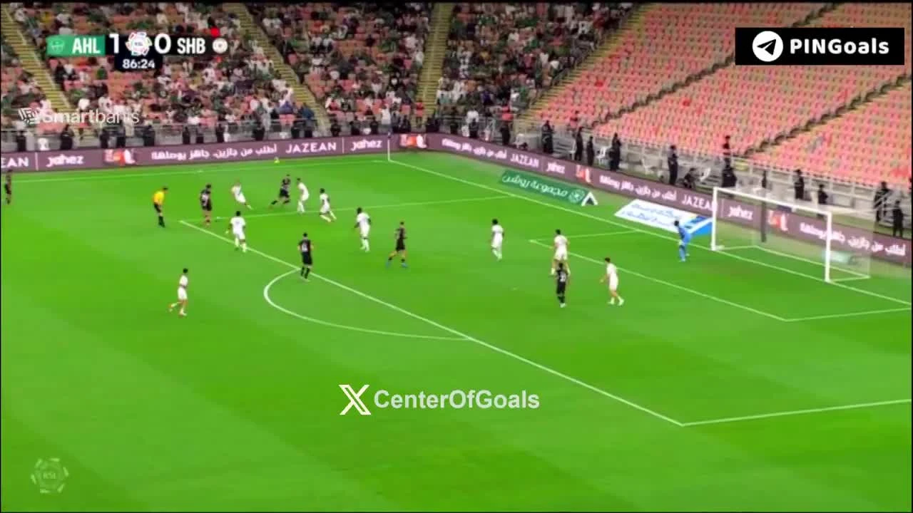 zaslepka skrotu video