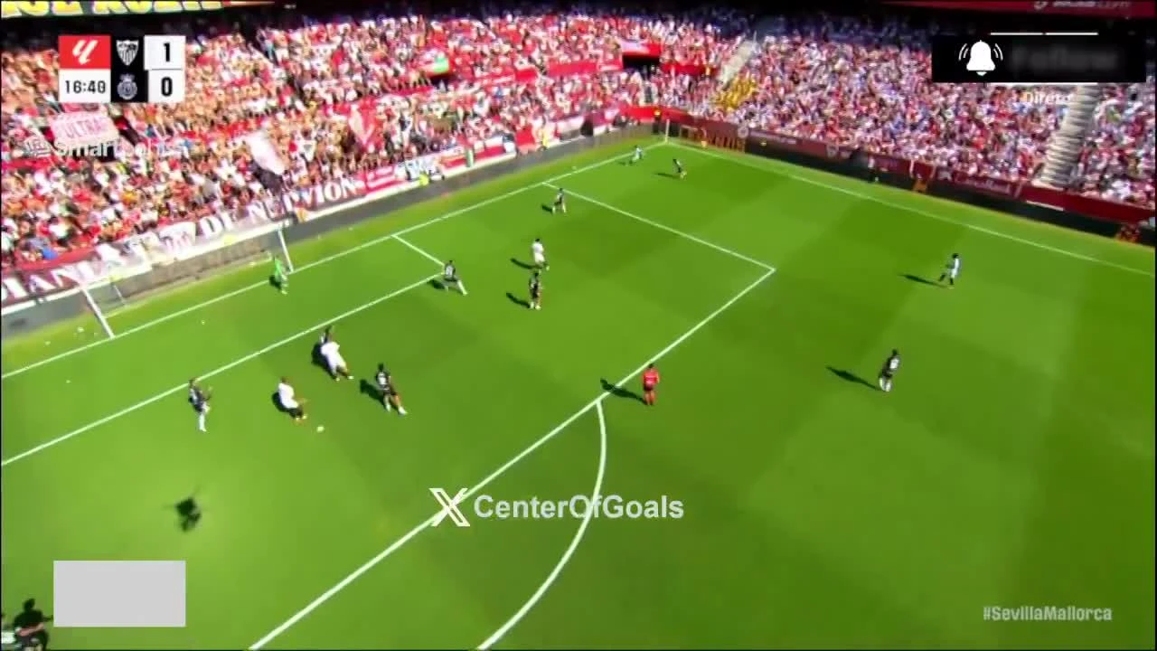 zaslepka skrotu video