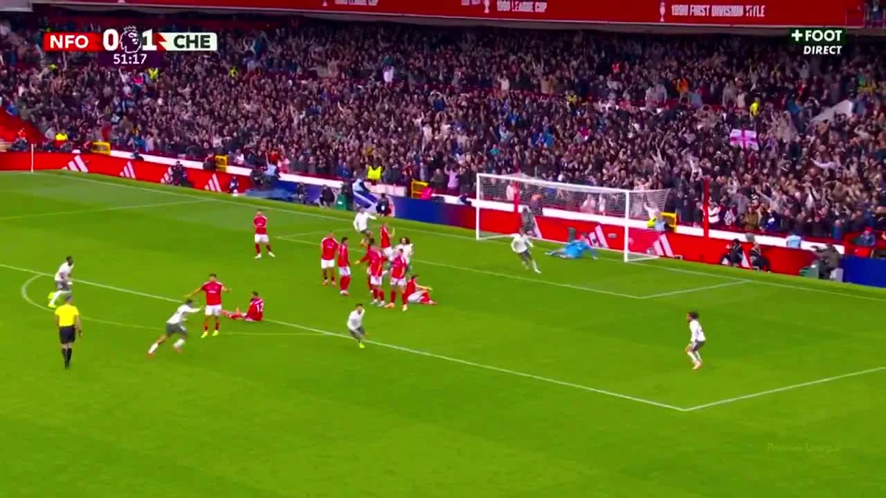 zaslepka skrotu video