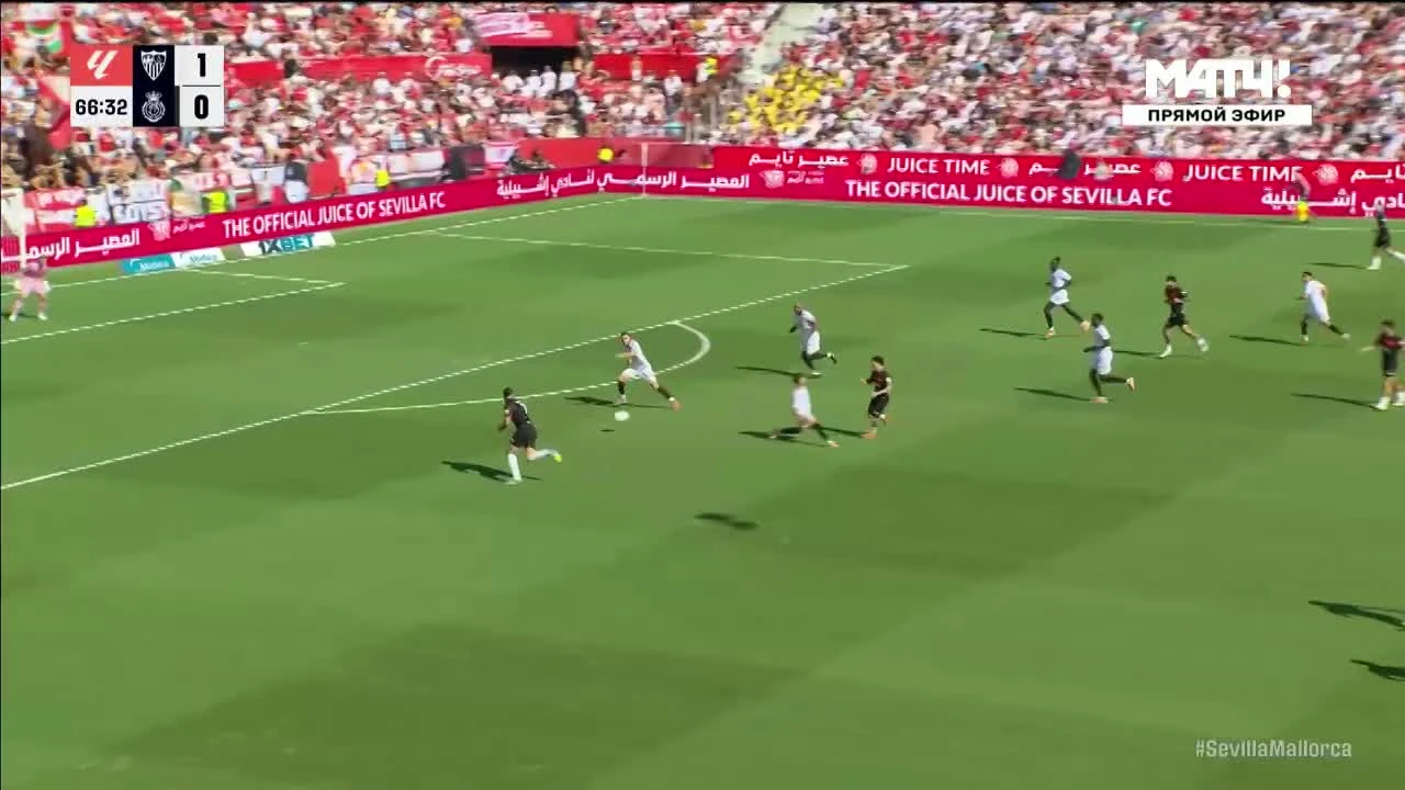 zaslepka skrotu video