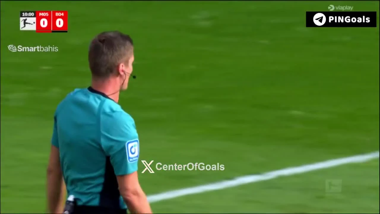 zaslepka skrotu video
