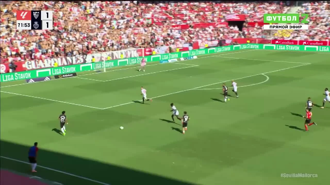 zaslepka skrotu video