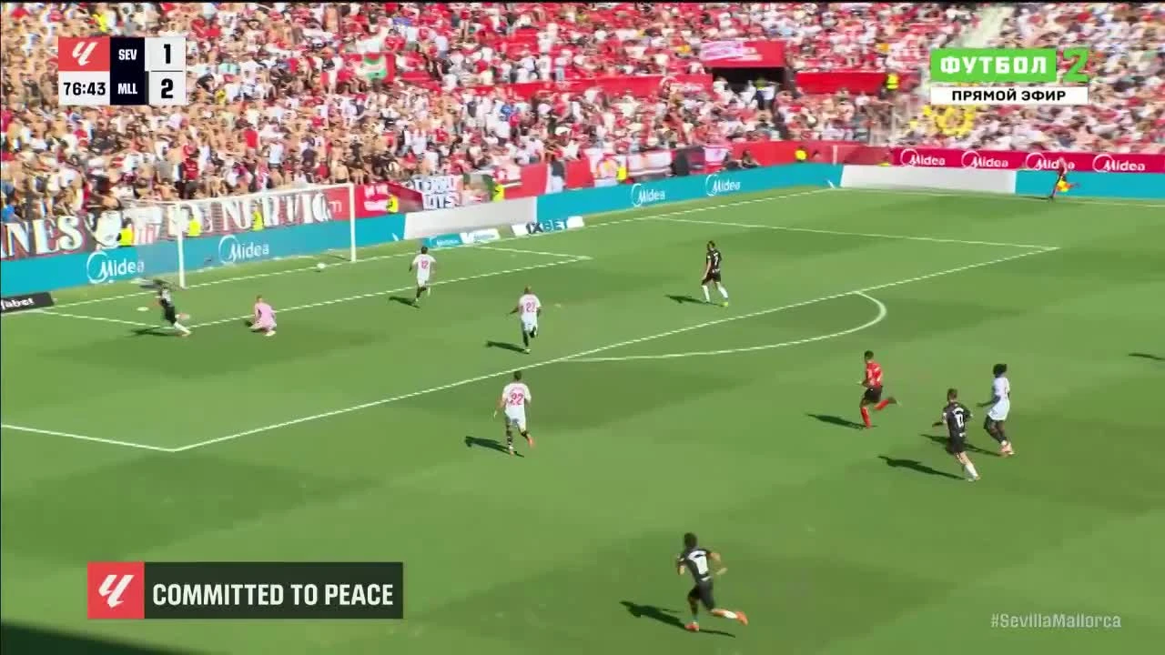 zaslepka skrotu video