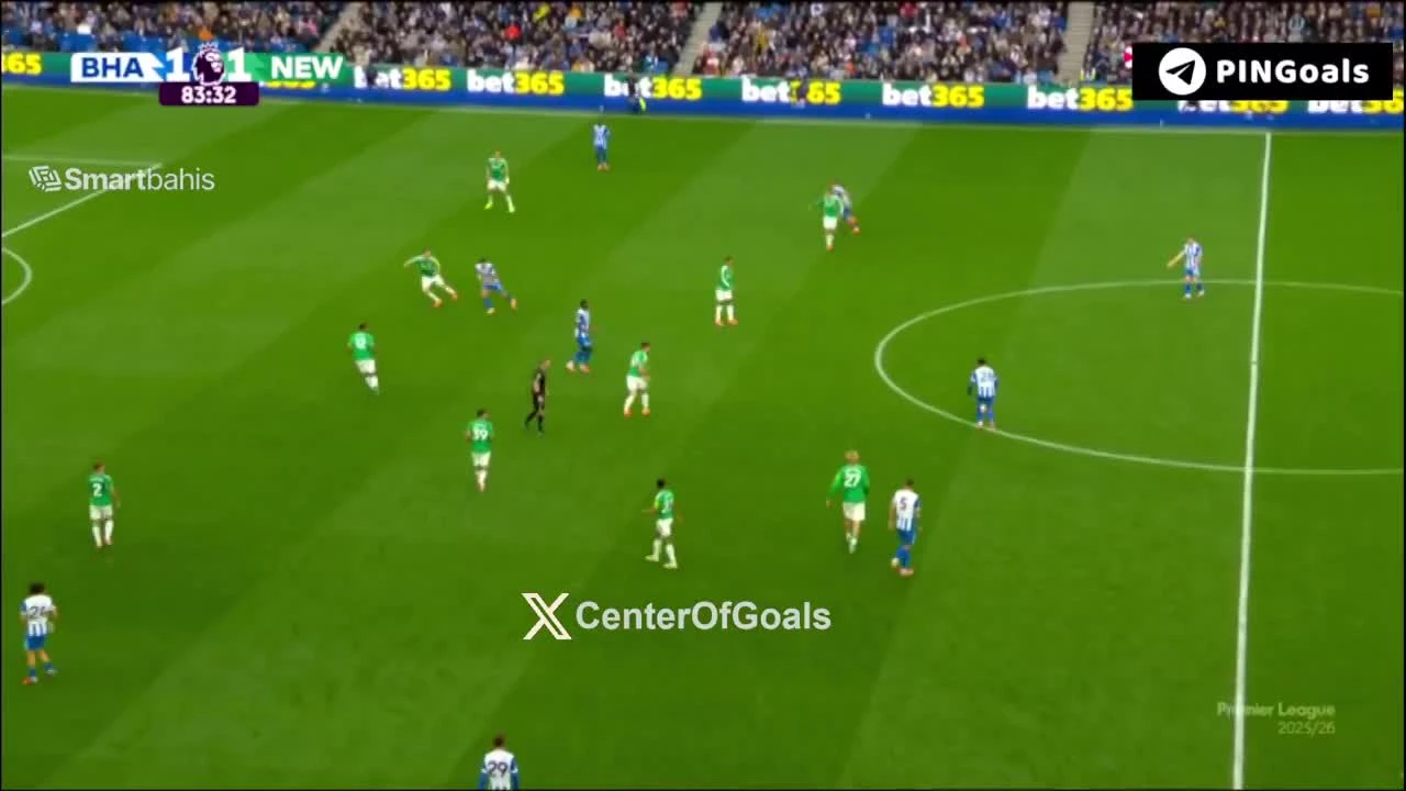 zaslepka skrotu video