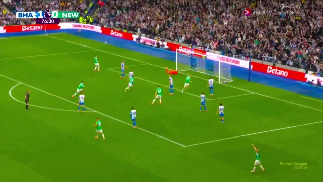 zaslepka skrotu video