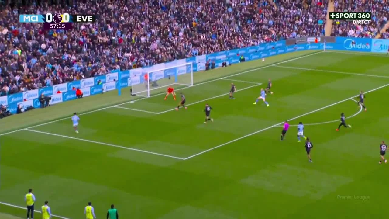 zaslepka skrotu video