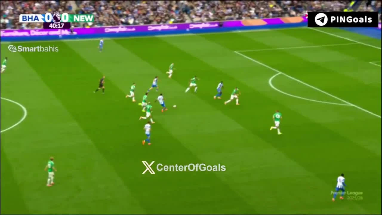 zaslepka skrotu video