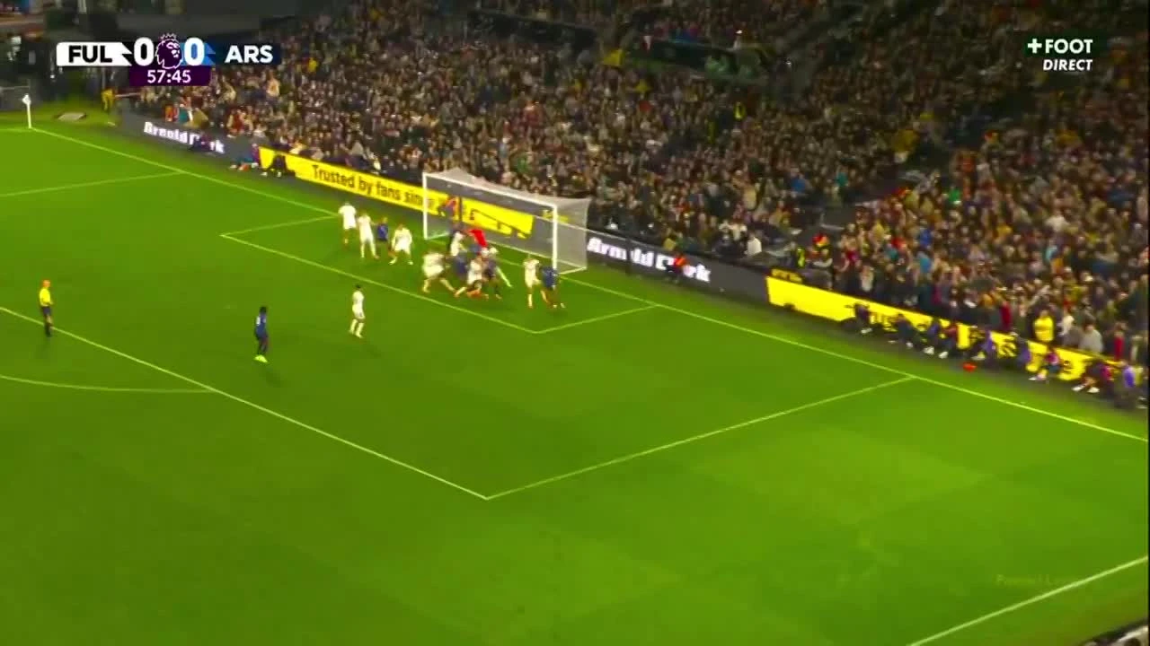 zaslepka skrotu video