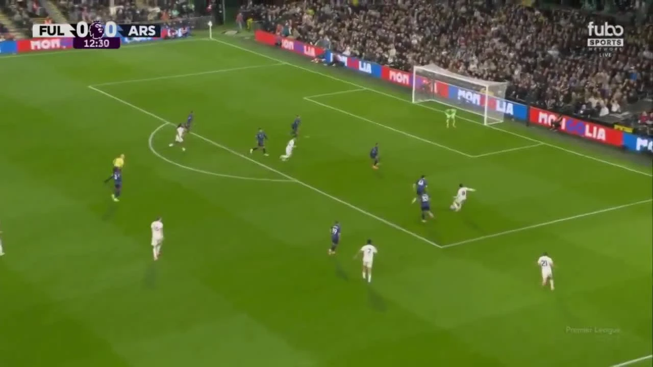 zaslepka skrotu video