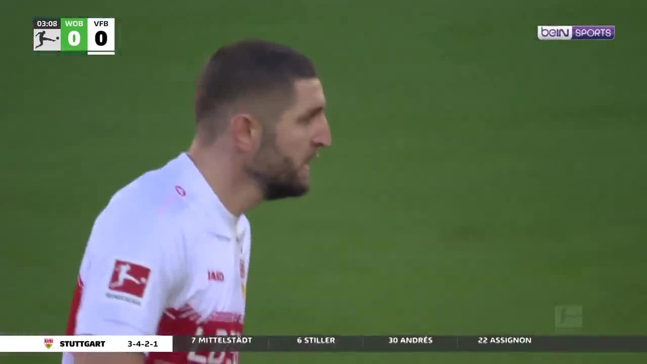 zaslepka skrotu video