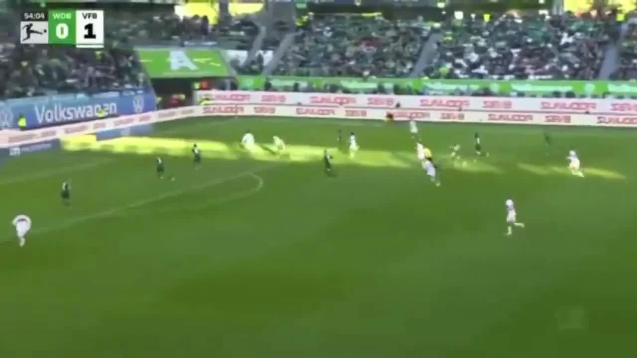 zaslepka skrotu video