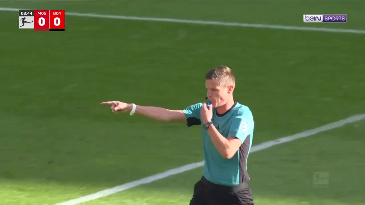 zaslepka skrotu video