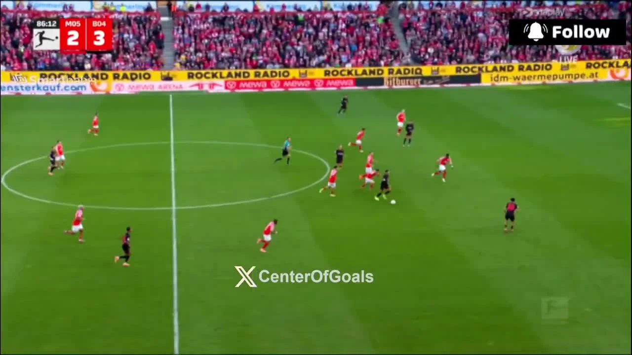 zaslepka skrotu video