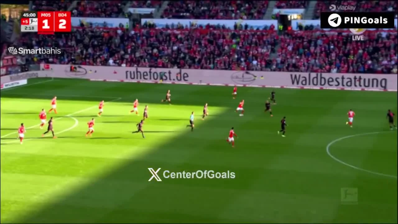 zaslepka skrotu video