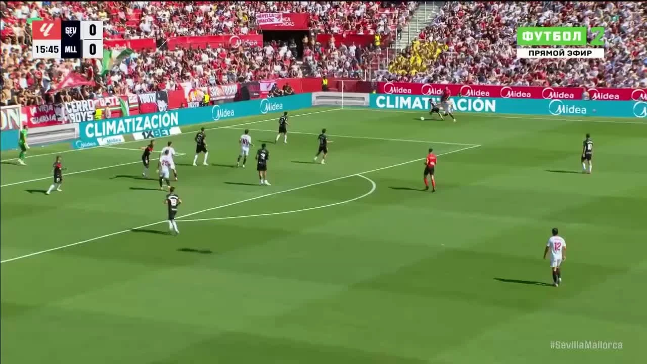 zaslepka skrotu video
