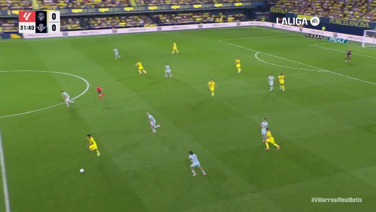 zaslepka skrotu video
