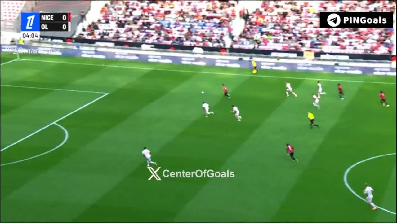 zaslepka skrotu video