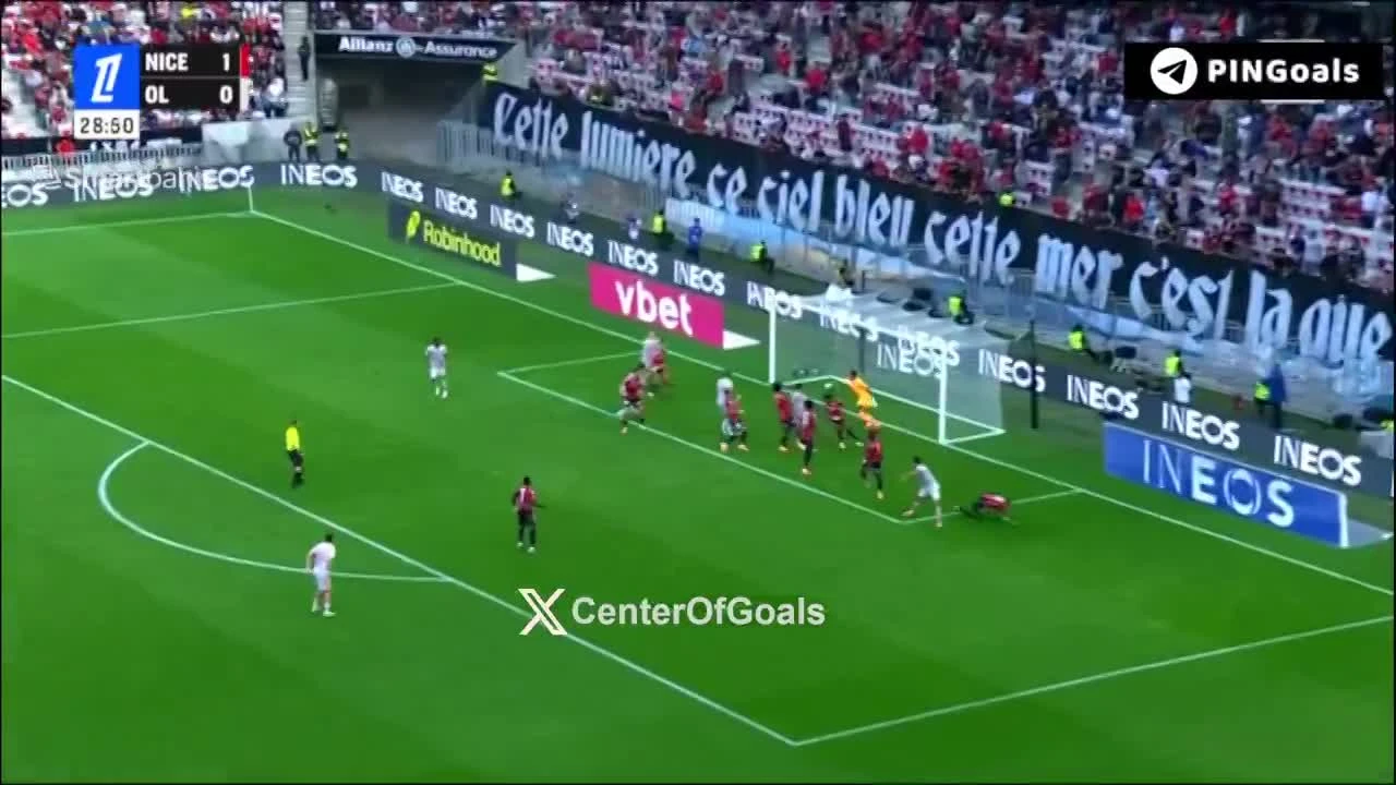 zaslepka skrotu video