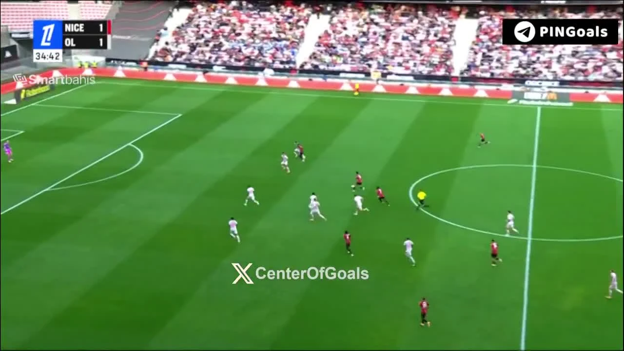 zaslepka skrotu video