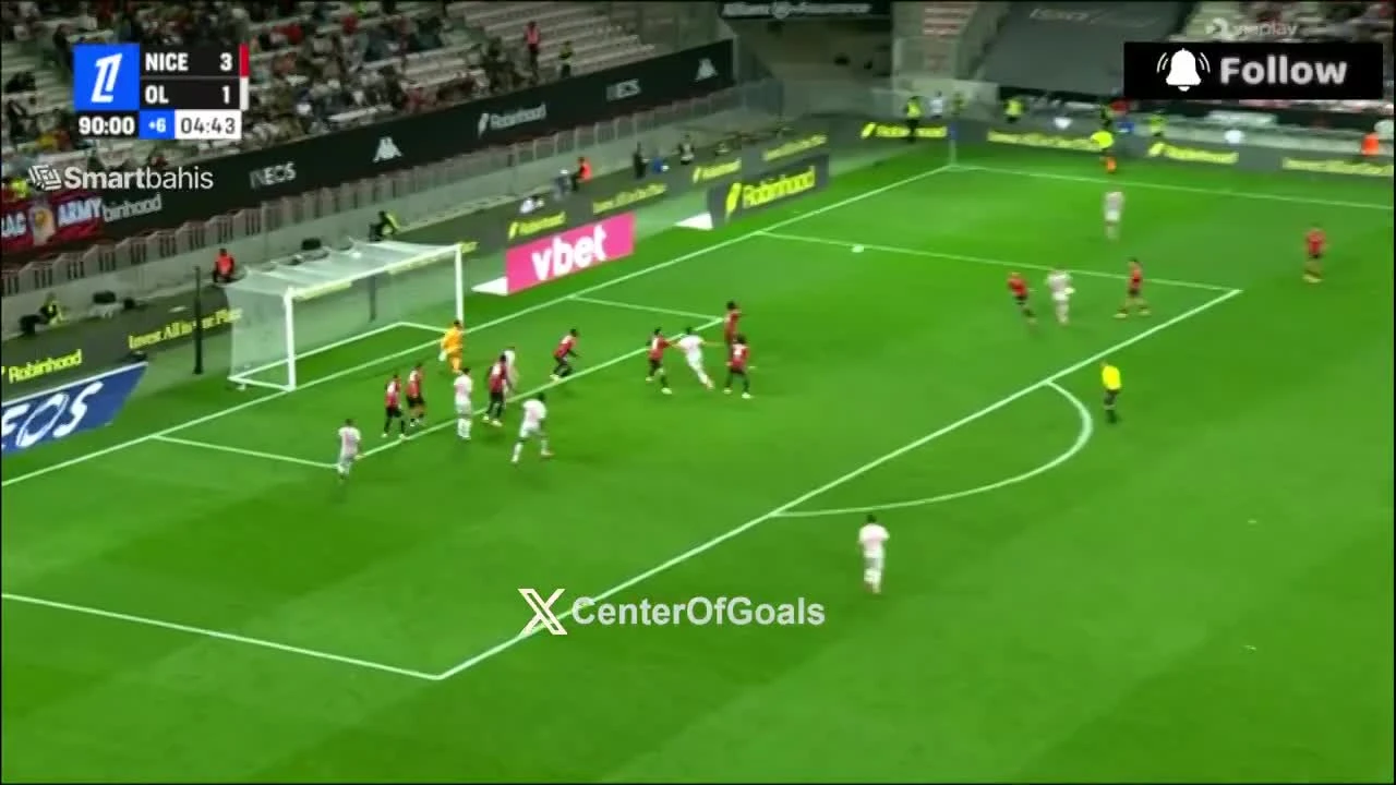 zaslepka skrotu video