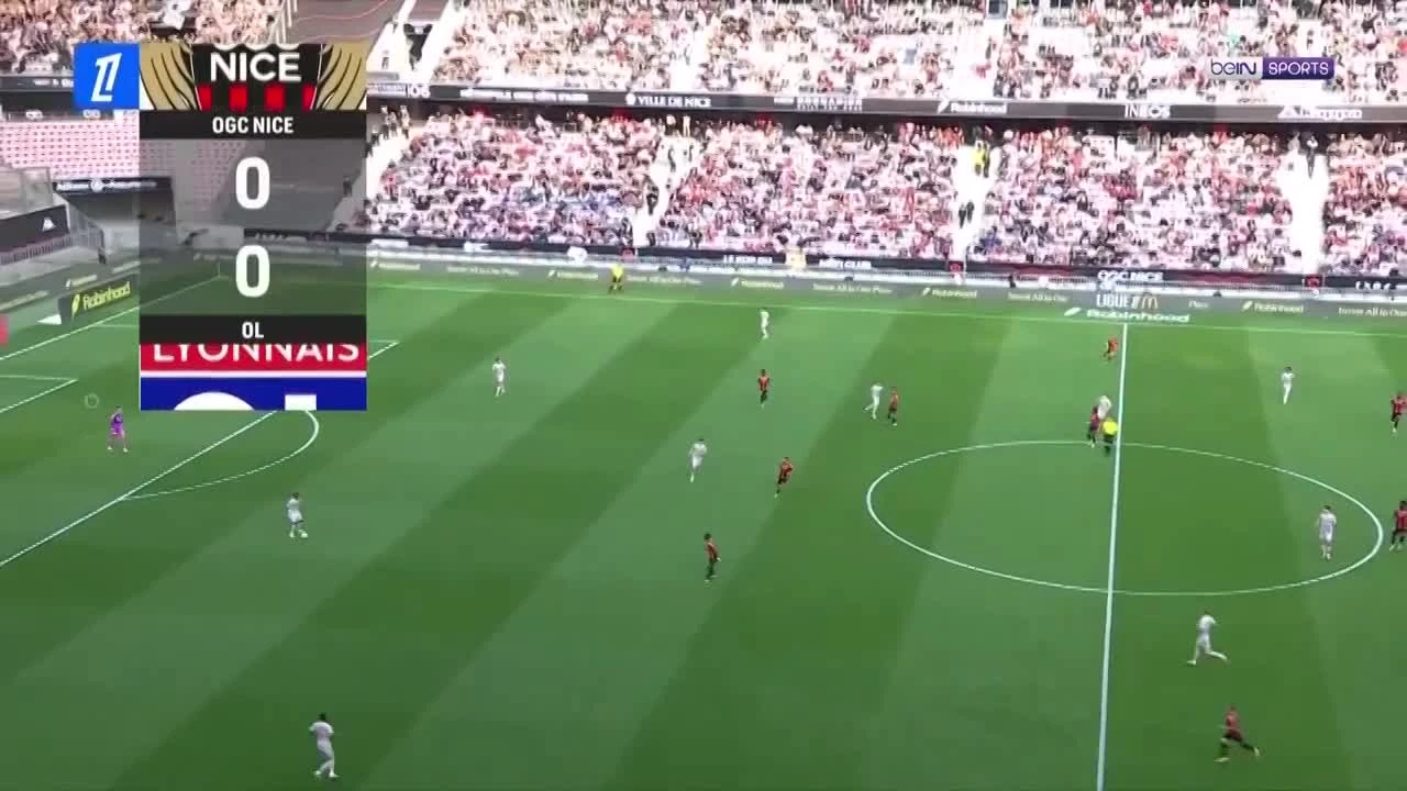 zaslepka skrotu video