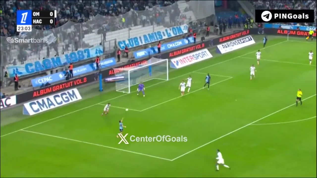 zaslepka skrotu video