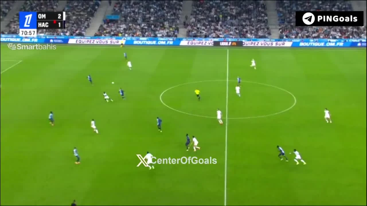 zaslepka skrotu video